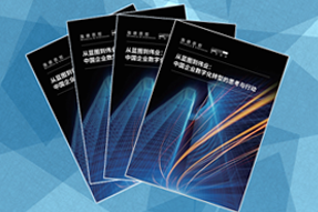 《从蓝图到伟业：中国企业数字化转型的思考与行动》