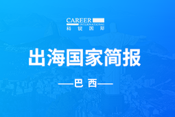 ballbet艾佛森体官网GO GLOBAL | 巴西国家简报