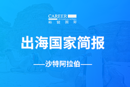 ballbet艾佛森体官网GO GLOBAL | 沙特阿拉伯国家简报